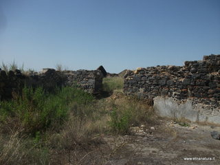 ammena-16-09-2015 11-53-46